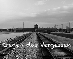 Auschwitz Birkenau klein